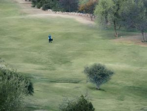 Read more about the article How Many Wedges Should I Carry?