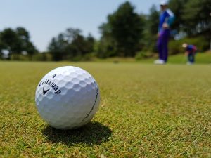 Read more about the article Should I Carry A 3-wood, 5-wood, Or Hybrid?