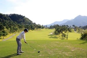 Read more about the article Which Driver Gives The Most Distance And Forgiveness?